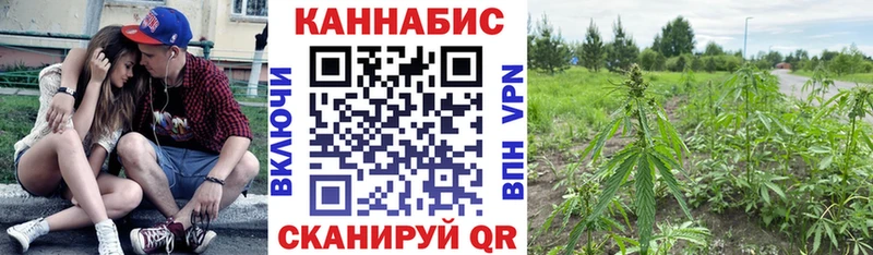 Купить наркотики цена Орск Бошки Шишки  Меф мяу мяу  COCAIN  Гашиш 