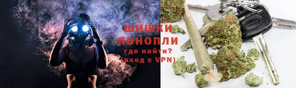 прущие крисы Бородино