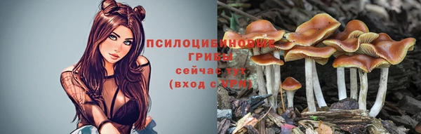прущие крисы Бородино
