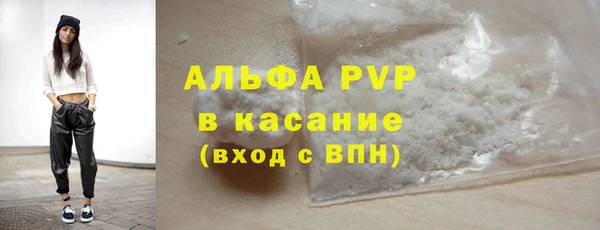 прущие крисы Бородино