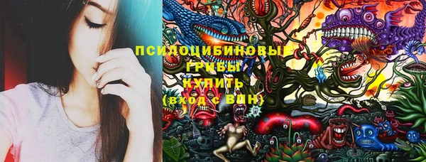 прущие крисы Бородино