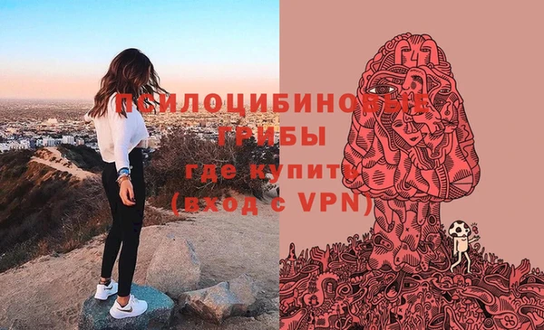 прущие крисы Бородино
