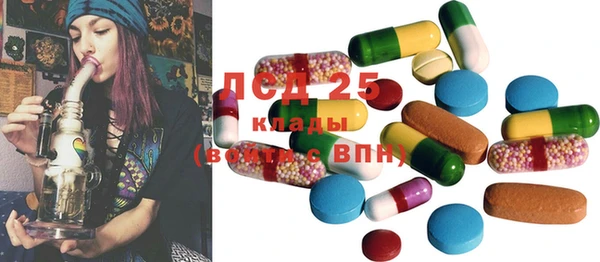 прущие крисы Бородино