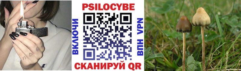 Псилоцибиновые грибы мухоморы  Орск 
