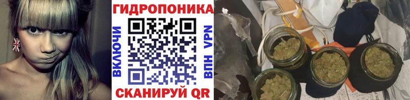 Канабис Amnesia  где продают наркотики  ссылка на мегу ТОР  Орск 